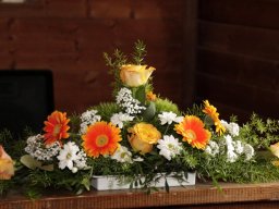 Hochzeit Alice und Toni Pullman City 2015